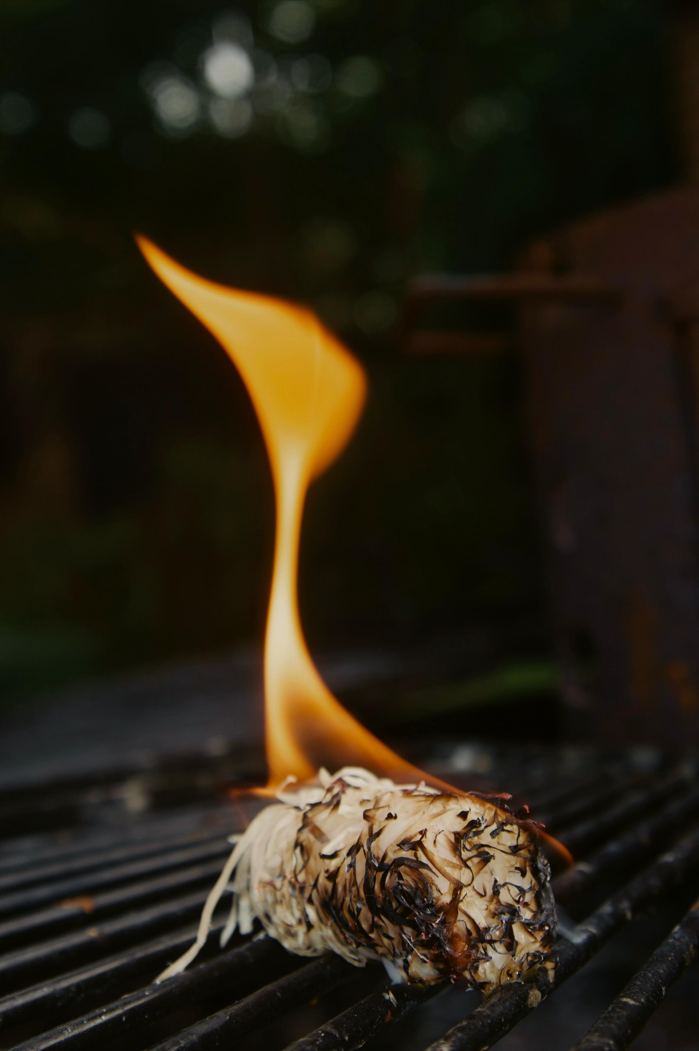 Fuego encendido