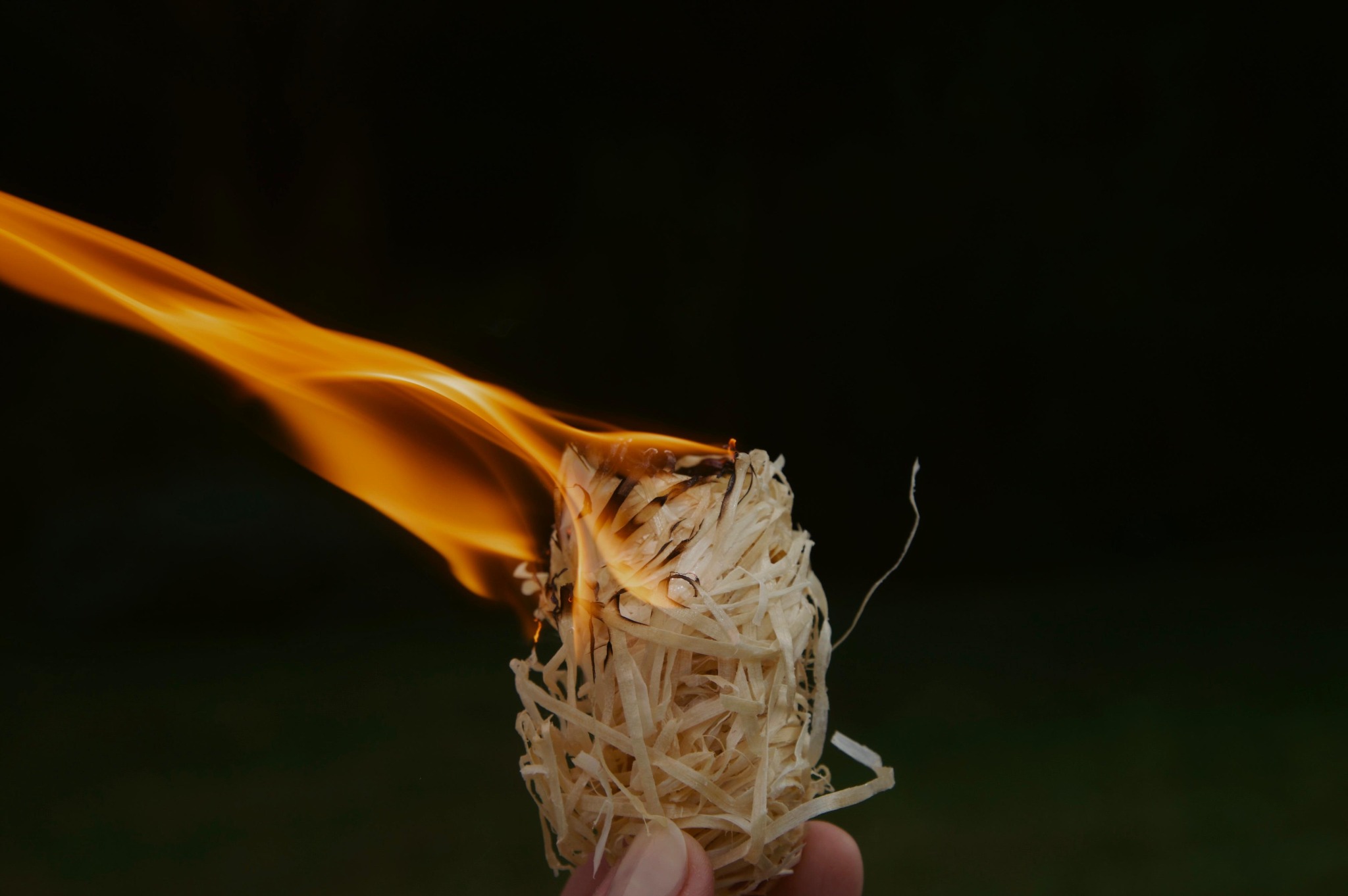 Encender Fuego Noble